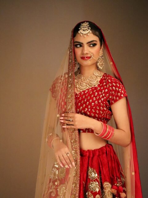 Maroon Embroidered Lehenga